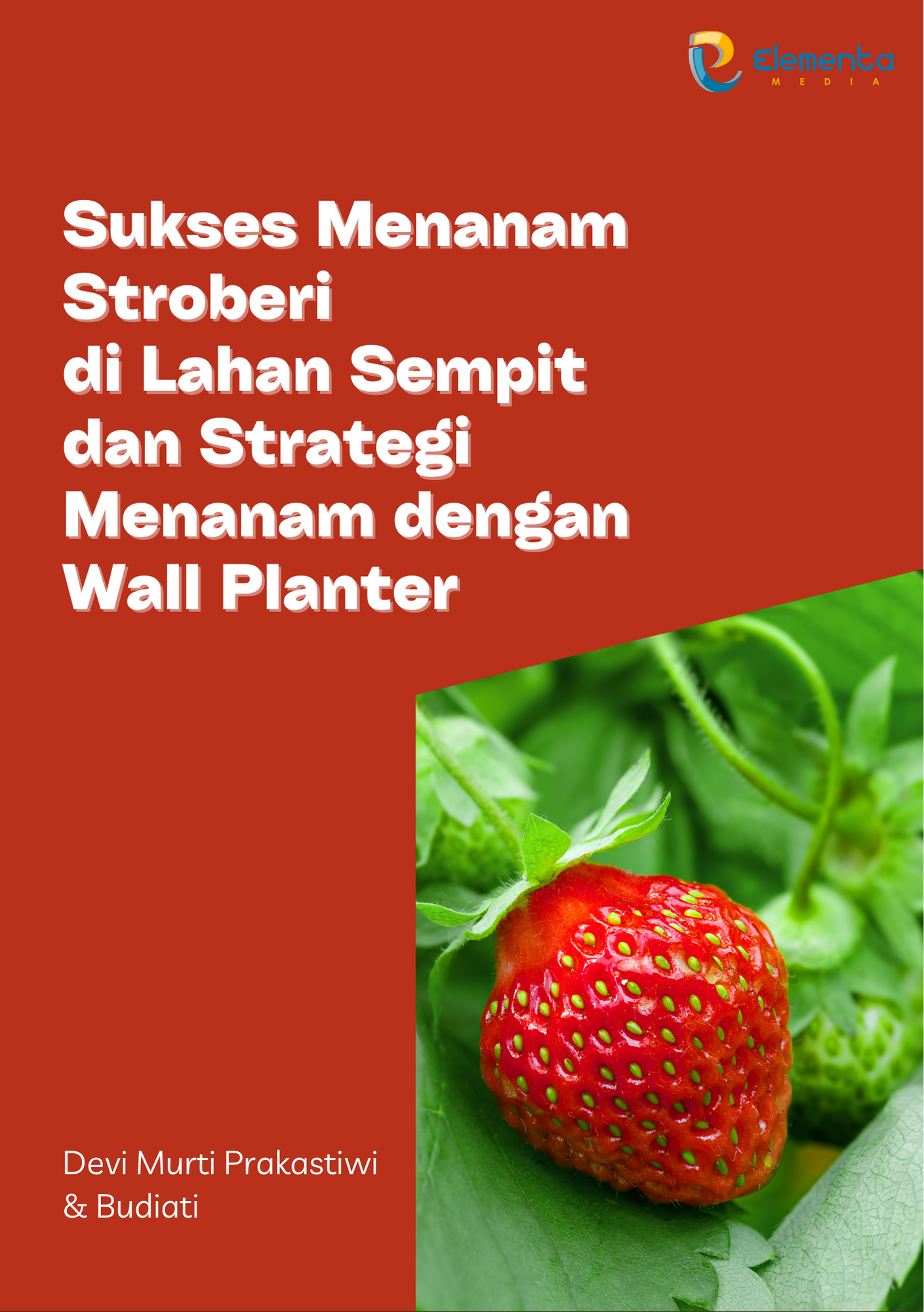 Sukses Menanam Stroberi di Lahan Sempit dan Strategi Menanam dengan Wall Planter