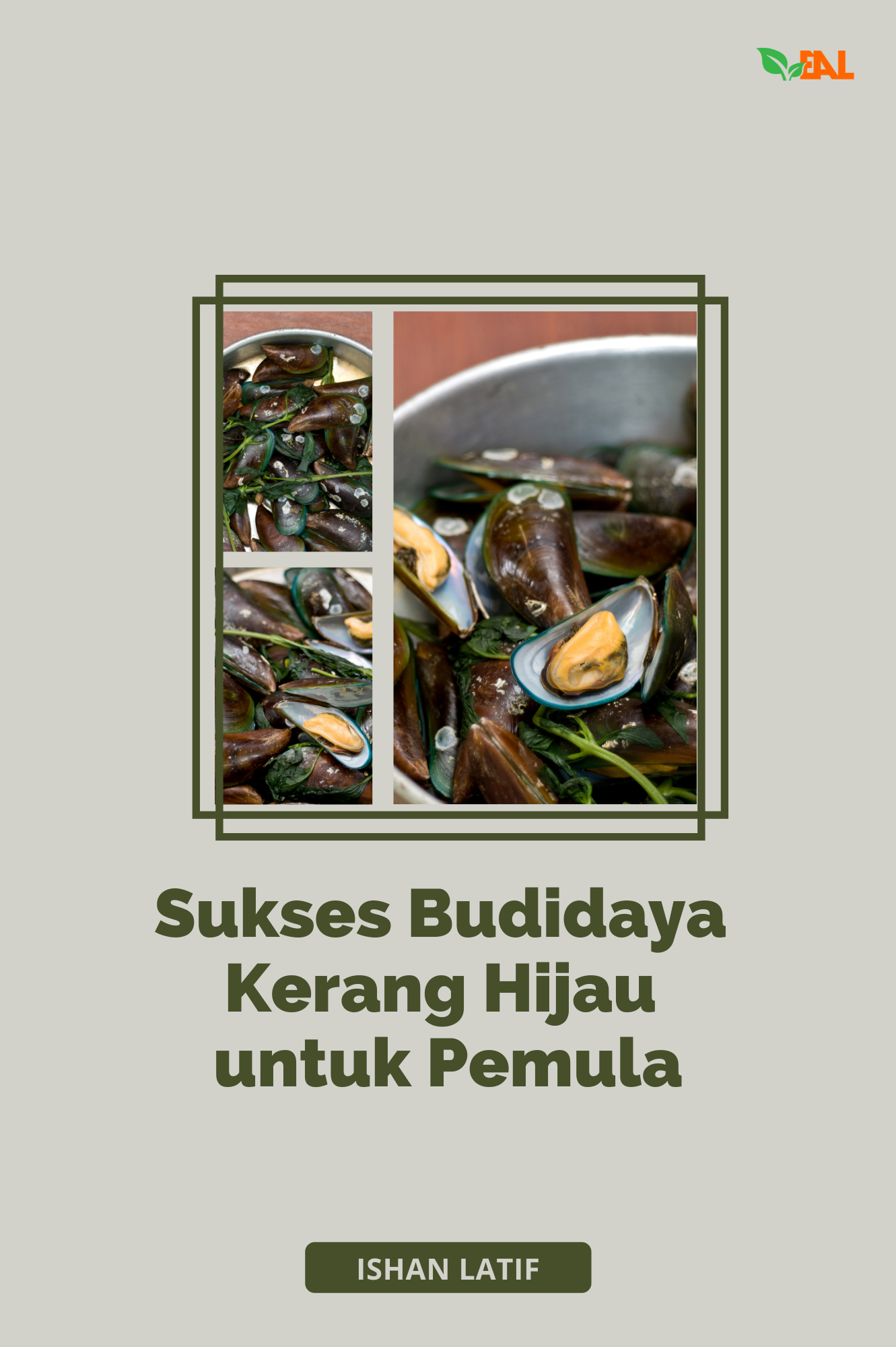 Sukses Budidaya Kerang Hijau untuk Pemula