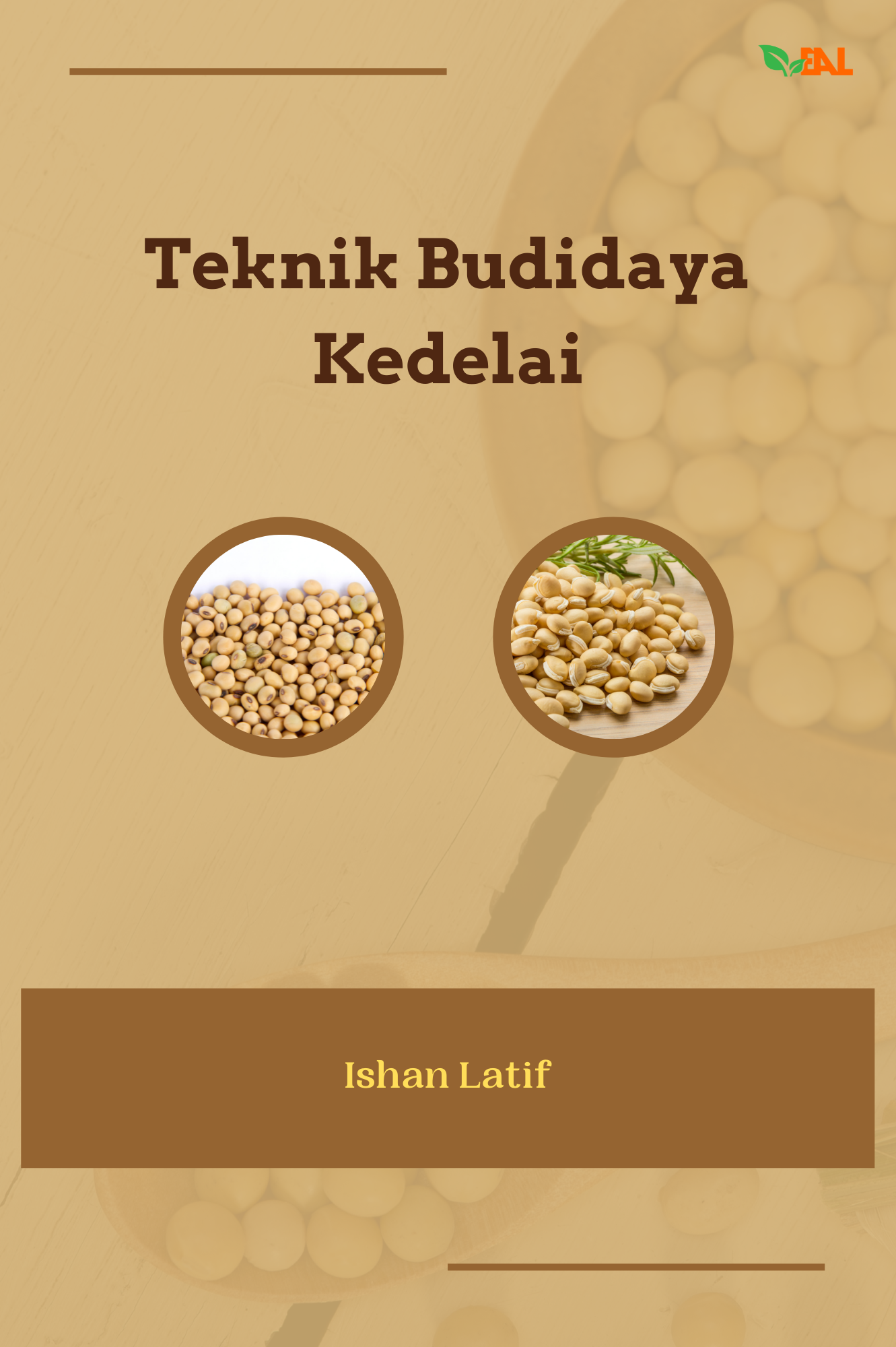 Teknik Budidaya Kedelai