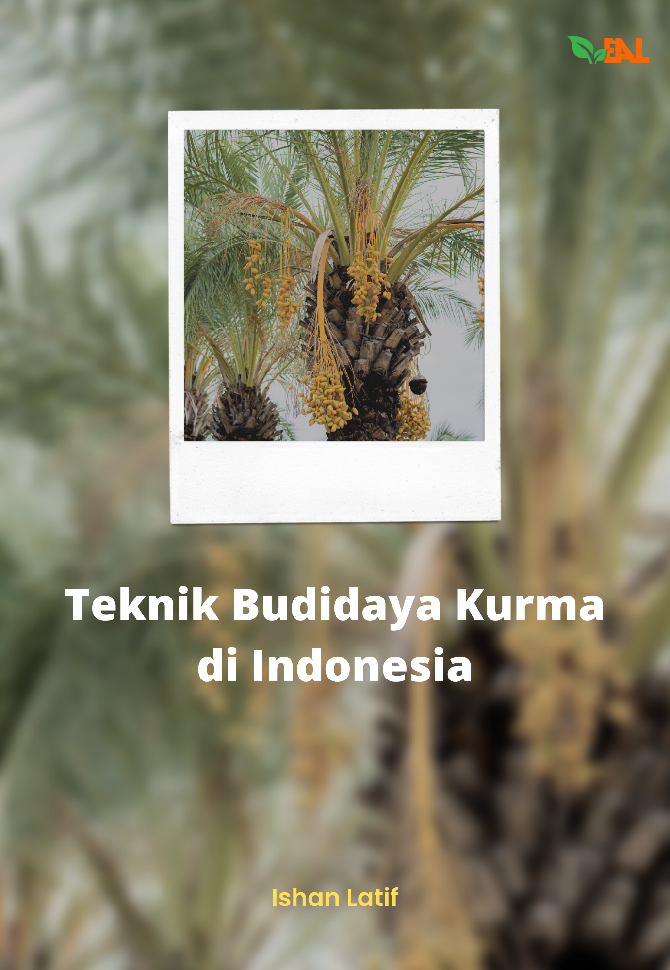 Teknik Budidaya Kurma di Indonesia