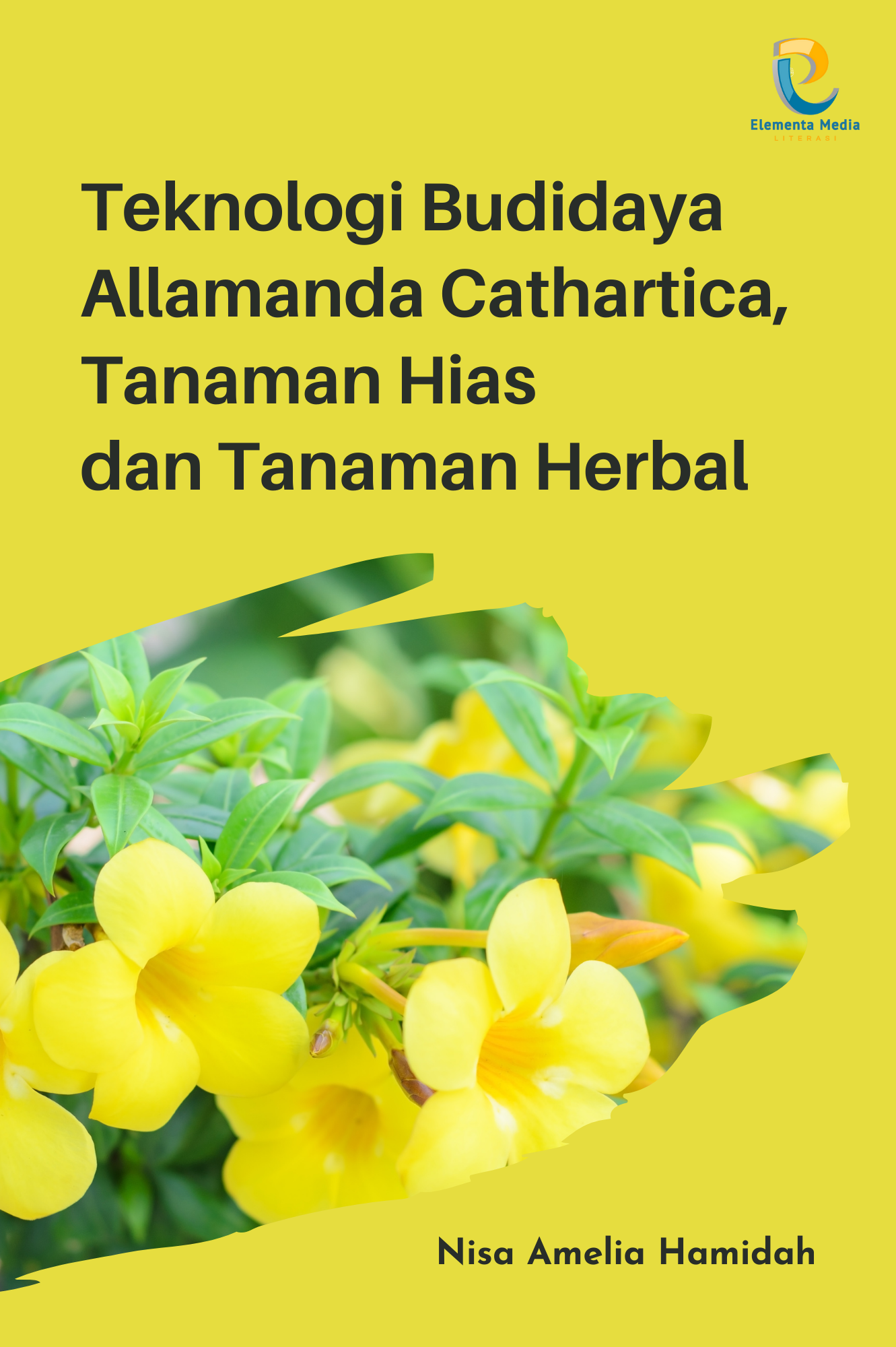 Teknologi Budidaya Allamanda Cathartica, Tanaman Hias dan Tanaman Herbal