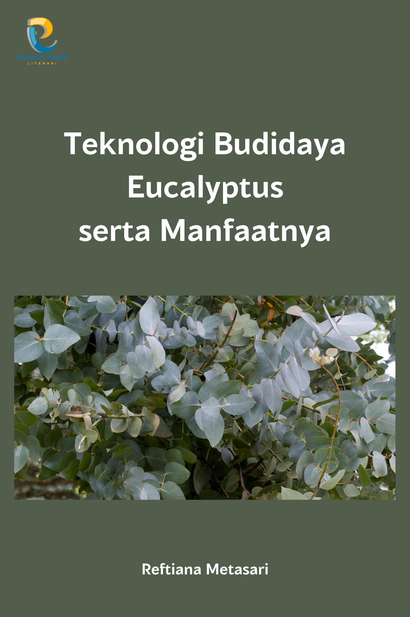 Teknologi Budidaya Eucalyptus serta Manfaatnya