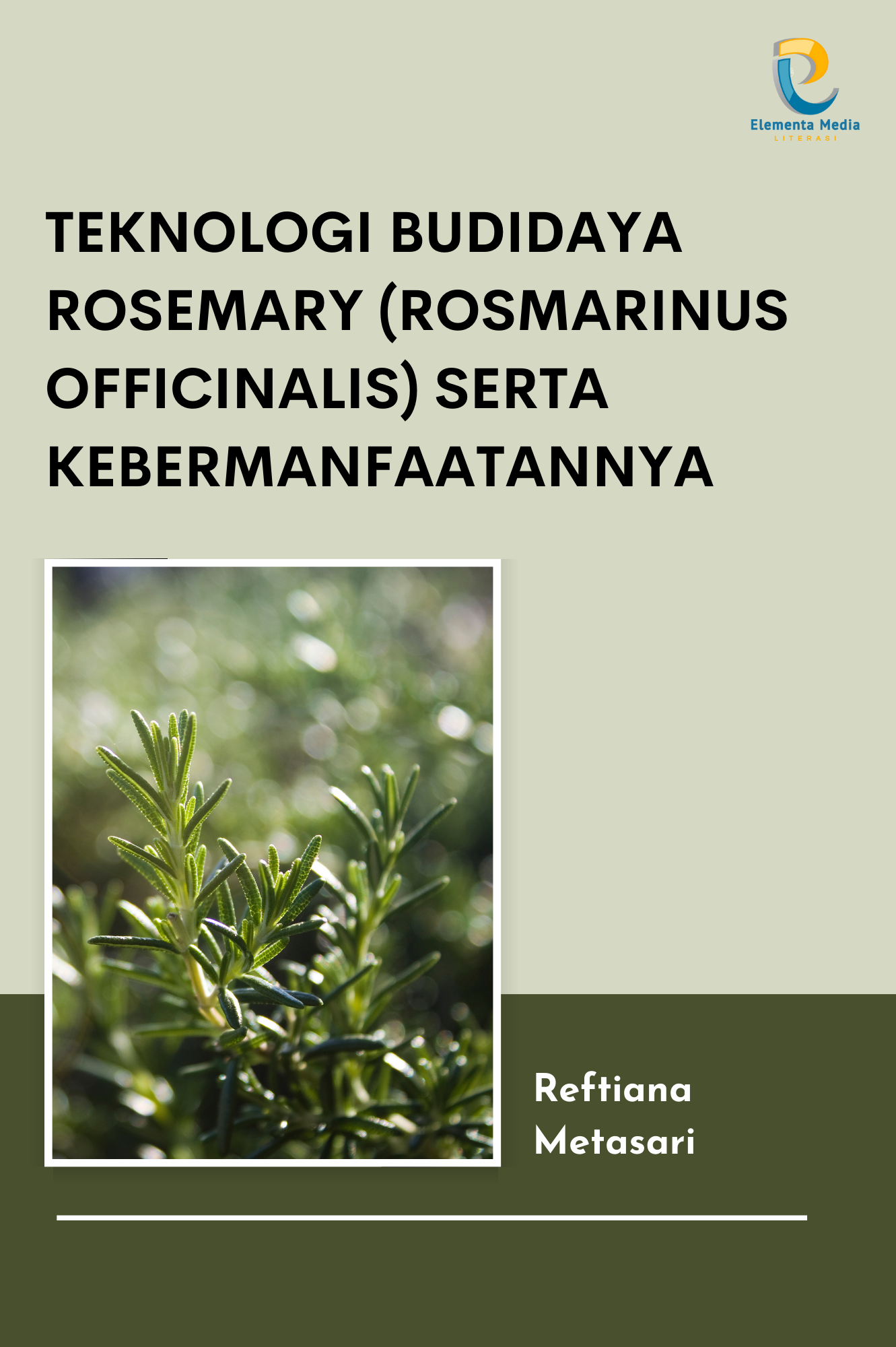 Teknologi Budidaya Rosemary (Rosmarinus officinalis) serta Kebermanfaatannya