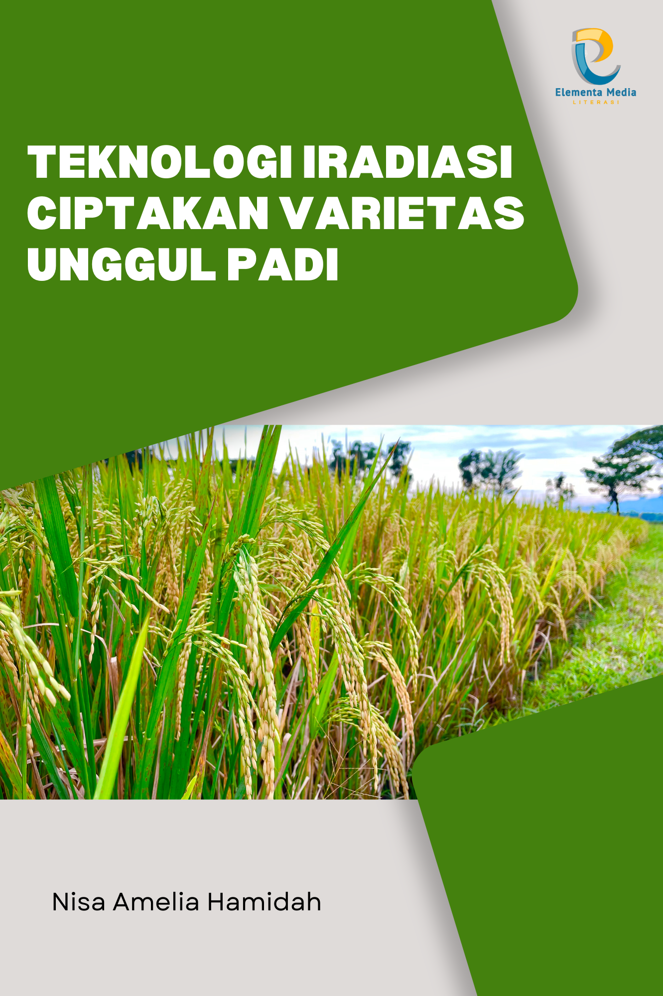 Teknologi Iradiasi Ciptakan Varietas Unggul Padi
