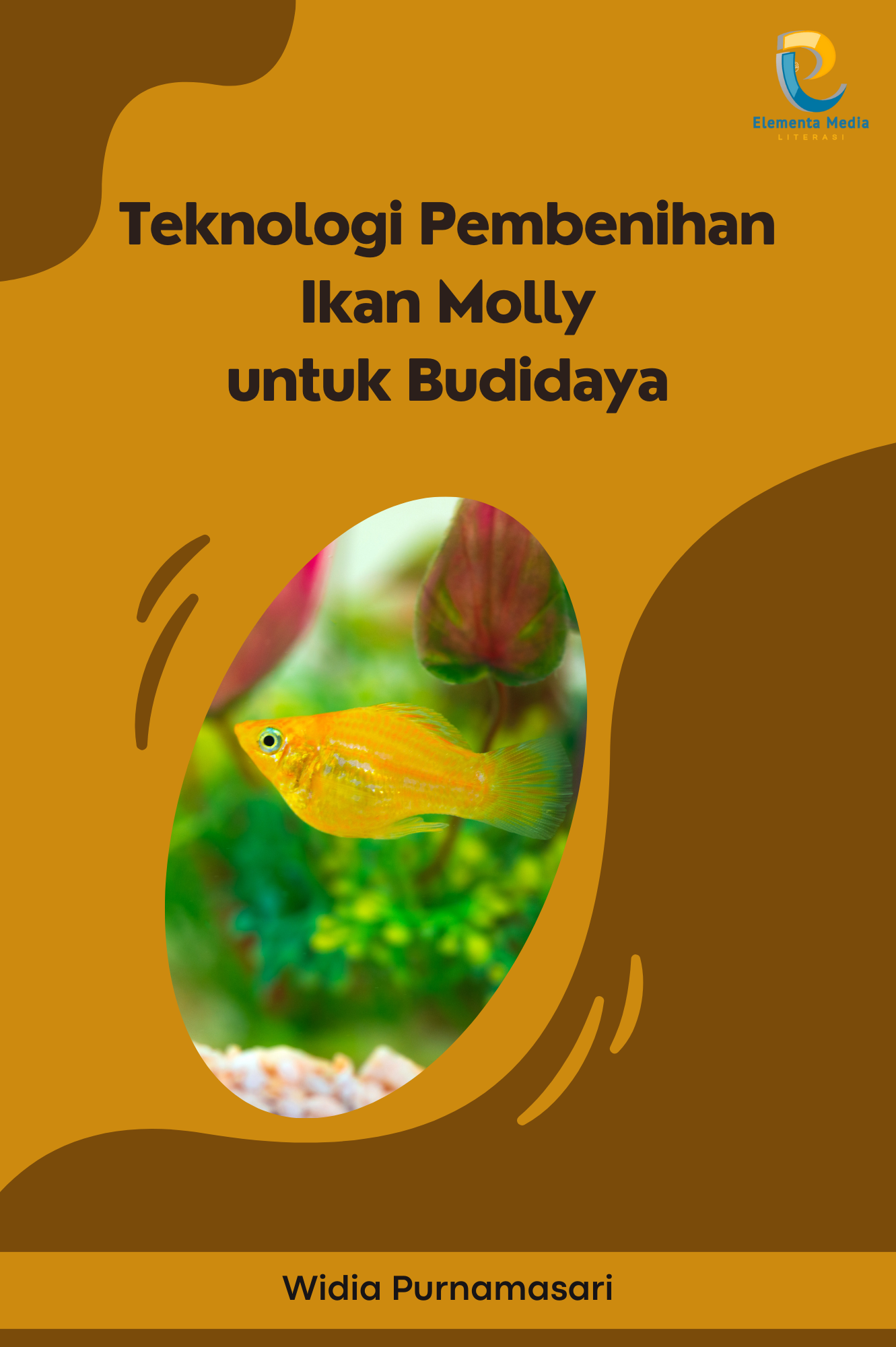 Teknologi Pembenihan Ikan Molly untuk Budidaya