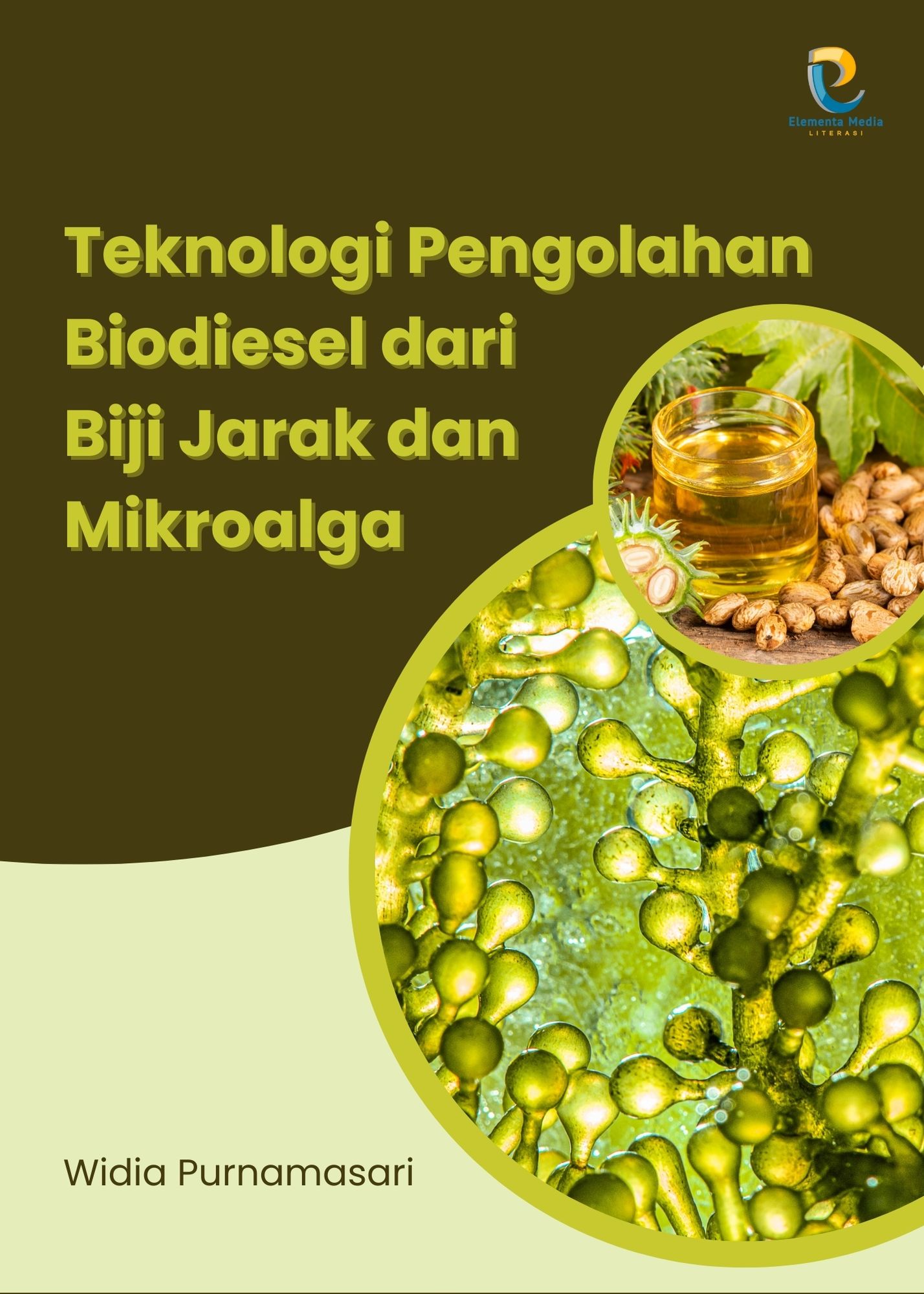 Teknologi Pengolahan Biodiesel dari Biji Jarak dan Mikroalga