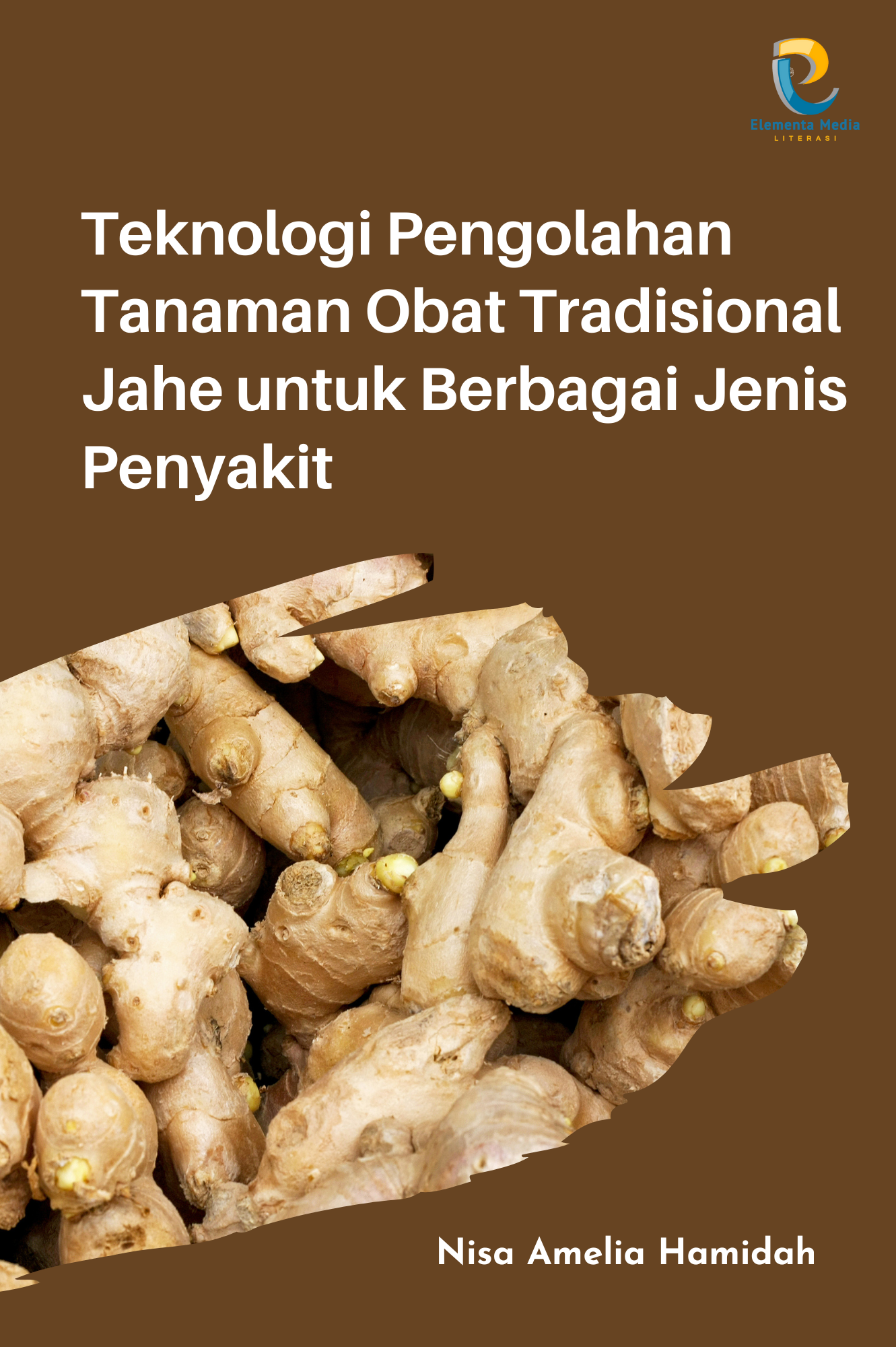 Teknologi Pengolahan Tanaman Obat Tradisional Jahe untuk Berbagai Jenis Penyakit