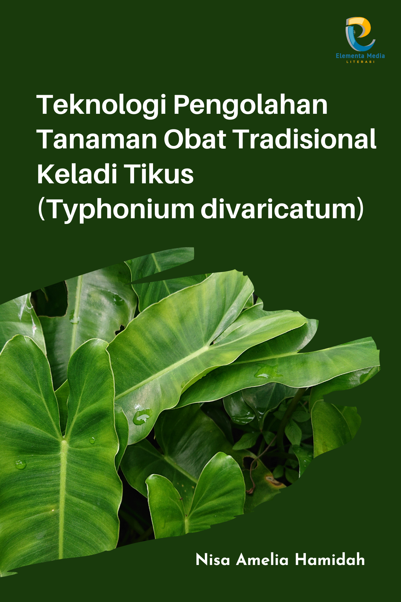 Teknologi Pengolahan Tanaman Obat Tradisional Keladi Tikus (Typhonium divaricatum)