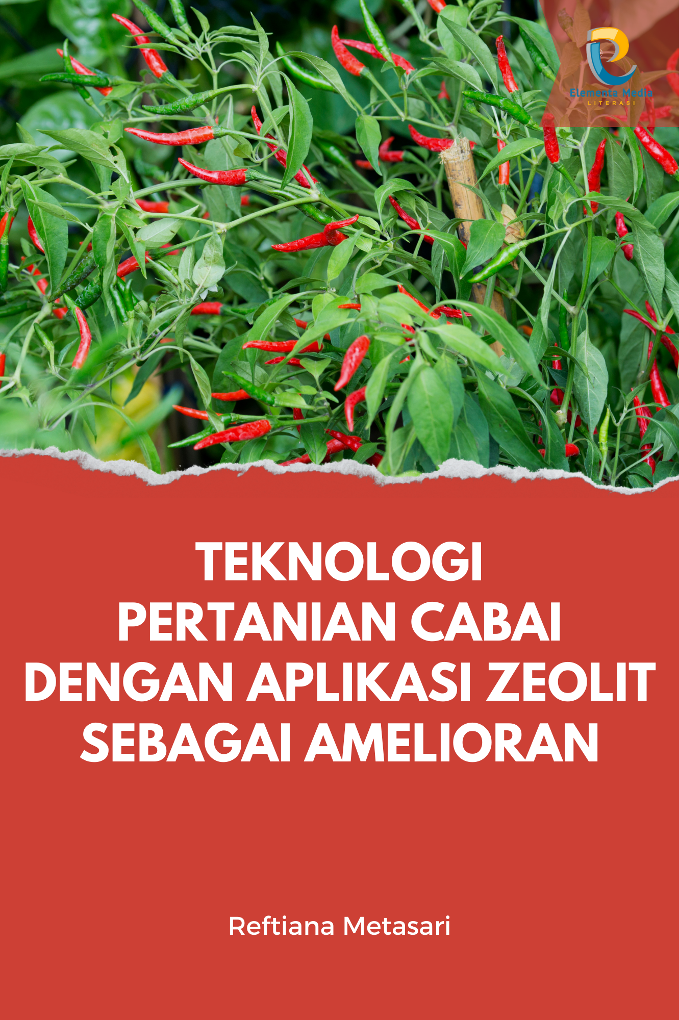 Teknologi Pertanian Cabai dengan Aplikasi Zeolit sebagai Amelioran
