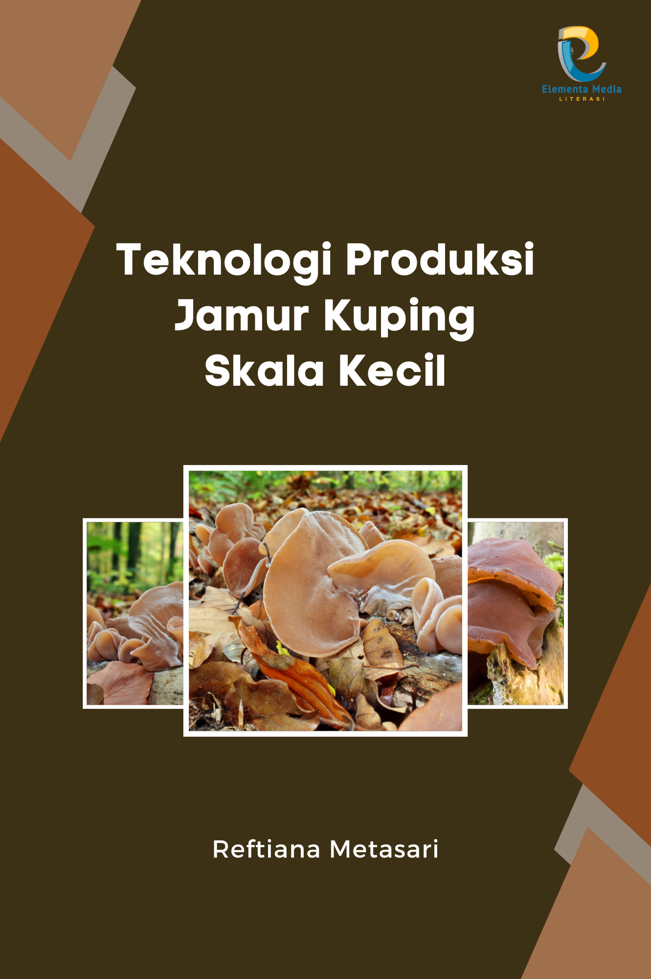 Teknologi Produksi Jamur Kuping Skala Kecil