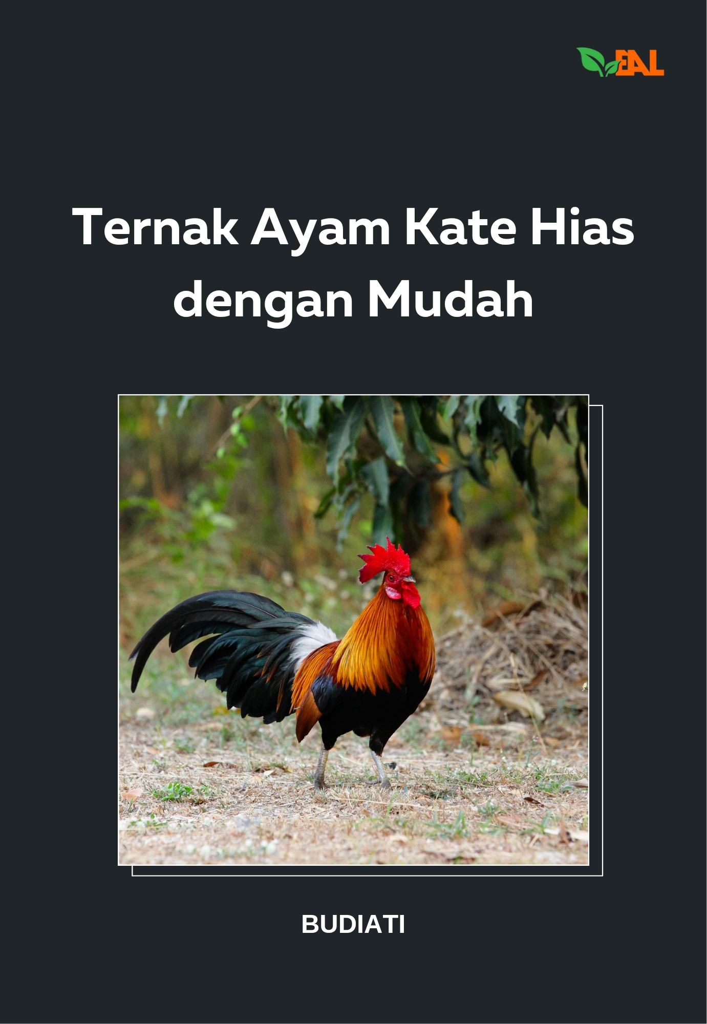 Ternak Ayam Kate Hias dengan Mudah