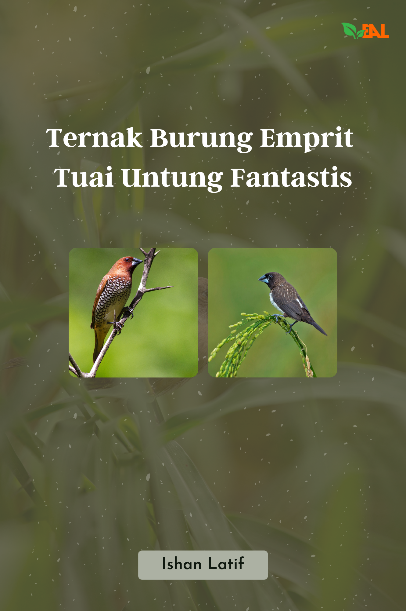 Ternak Burung Emprit Tuai Untung Fantastis