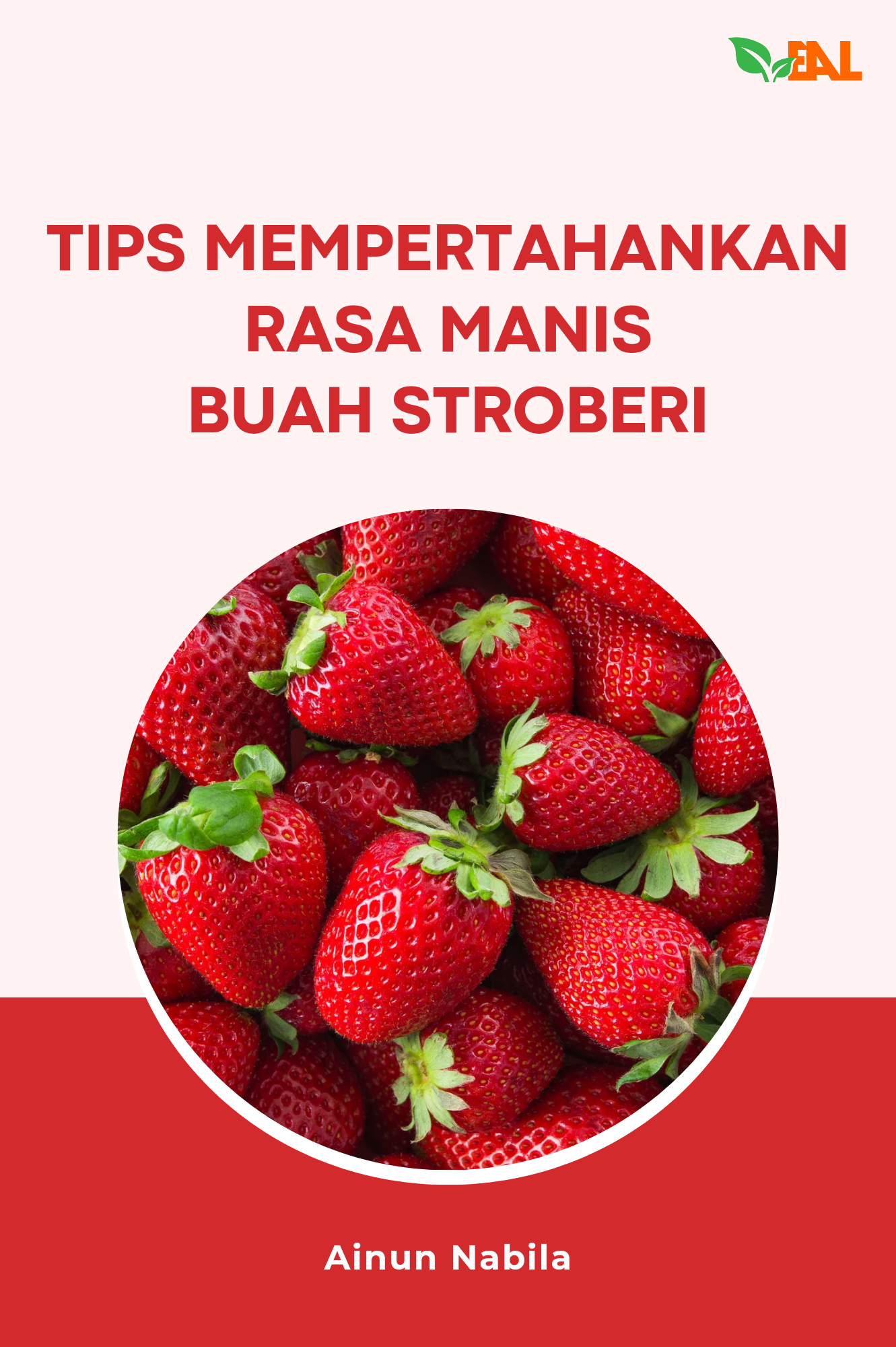 Tips Mempertahankan Rasa Manis Buah Stroberi