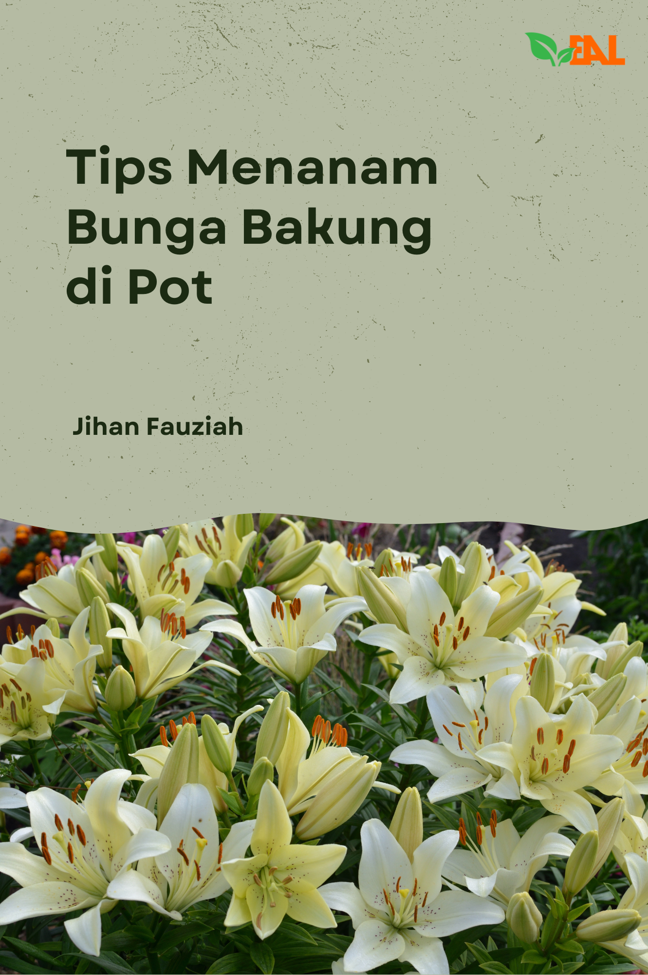 Tips Menanam Bunga Bakung di Pot