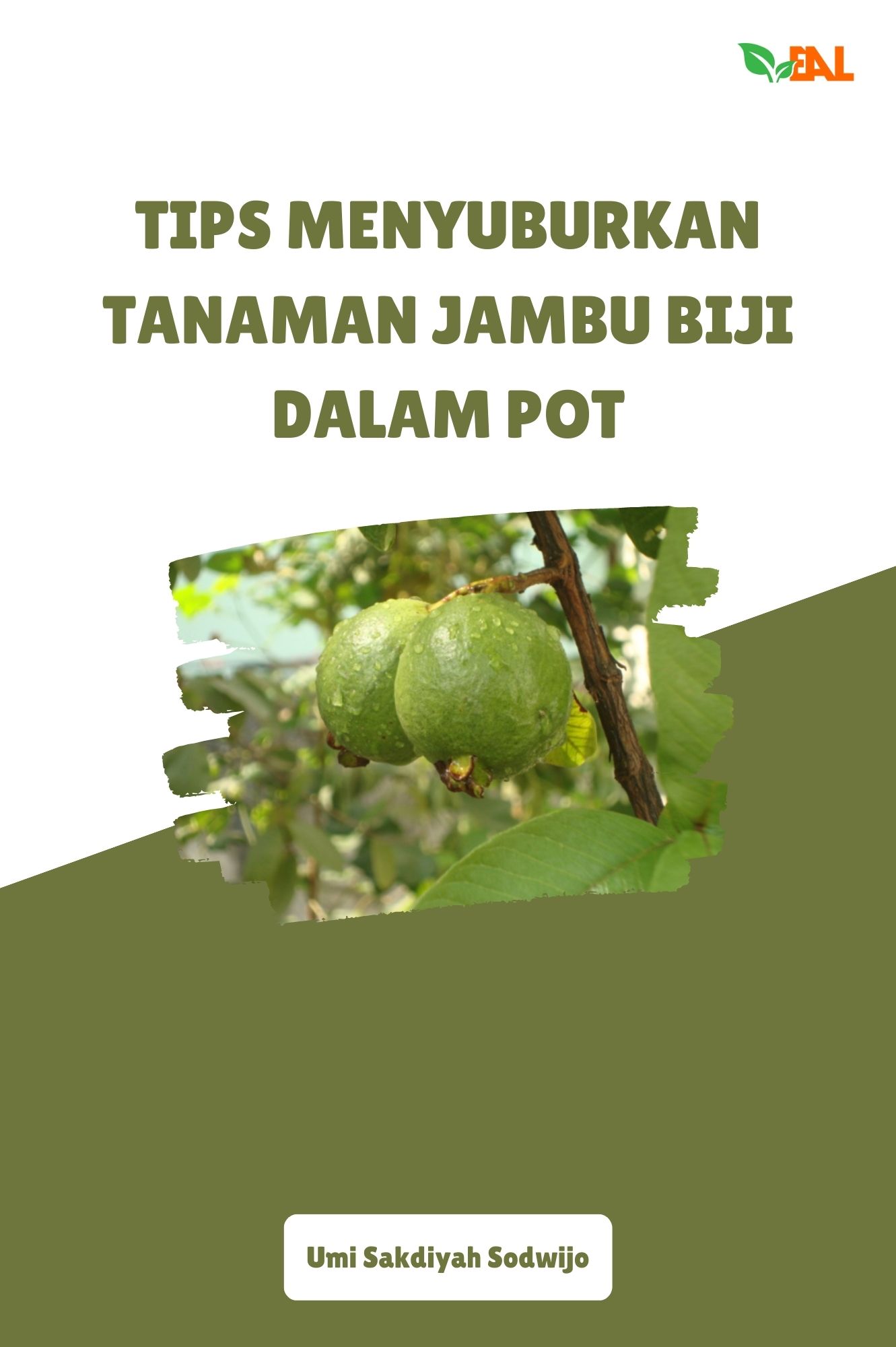 Tips Menyuburkan Tanaman Jambu Biji dalam Pot