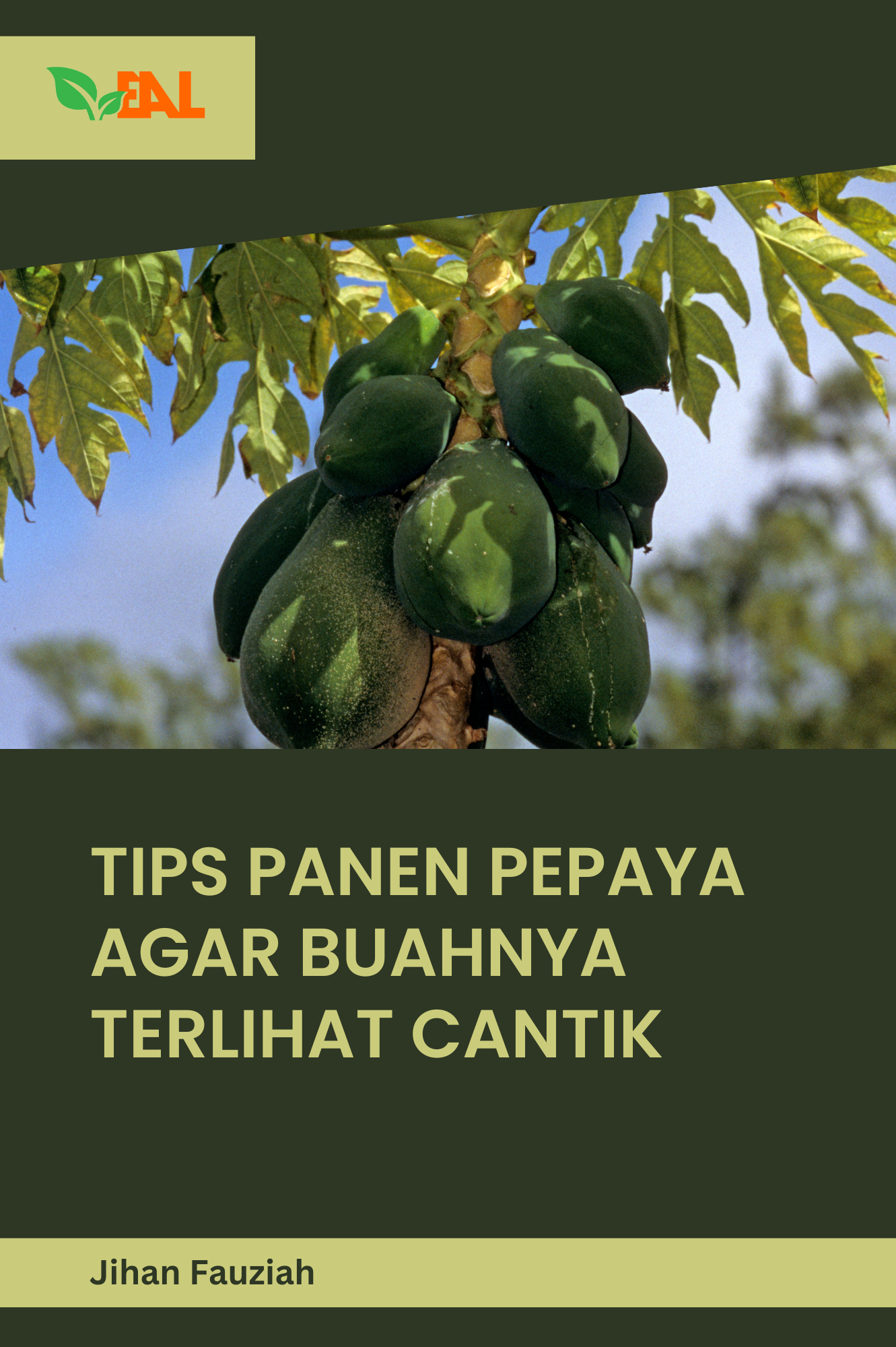 Tips Panen Pepaya Agar Buahnya Terlihat Cantik