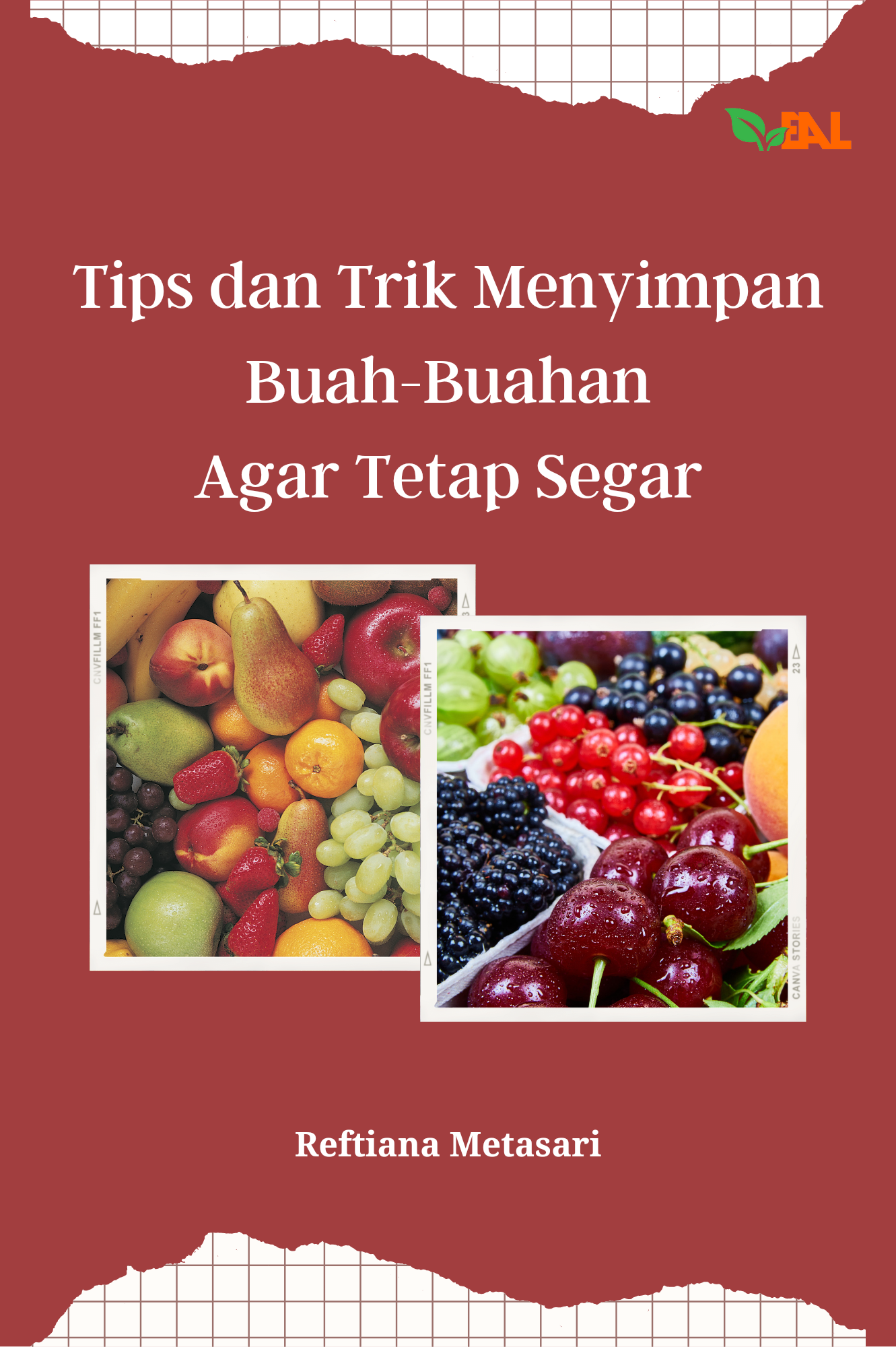 Tips dan Trik Menyimpan Buah-Buahan Agar Tetap Segar
