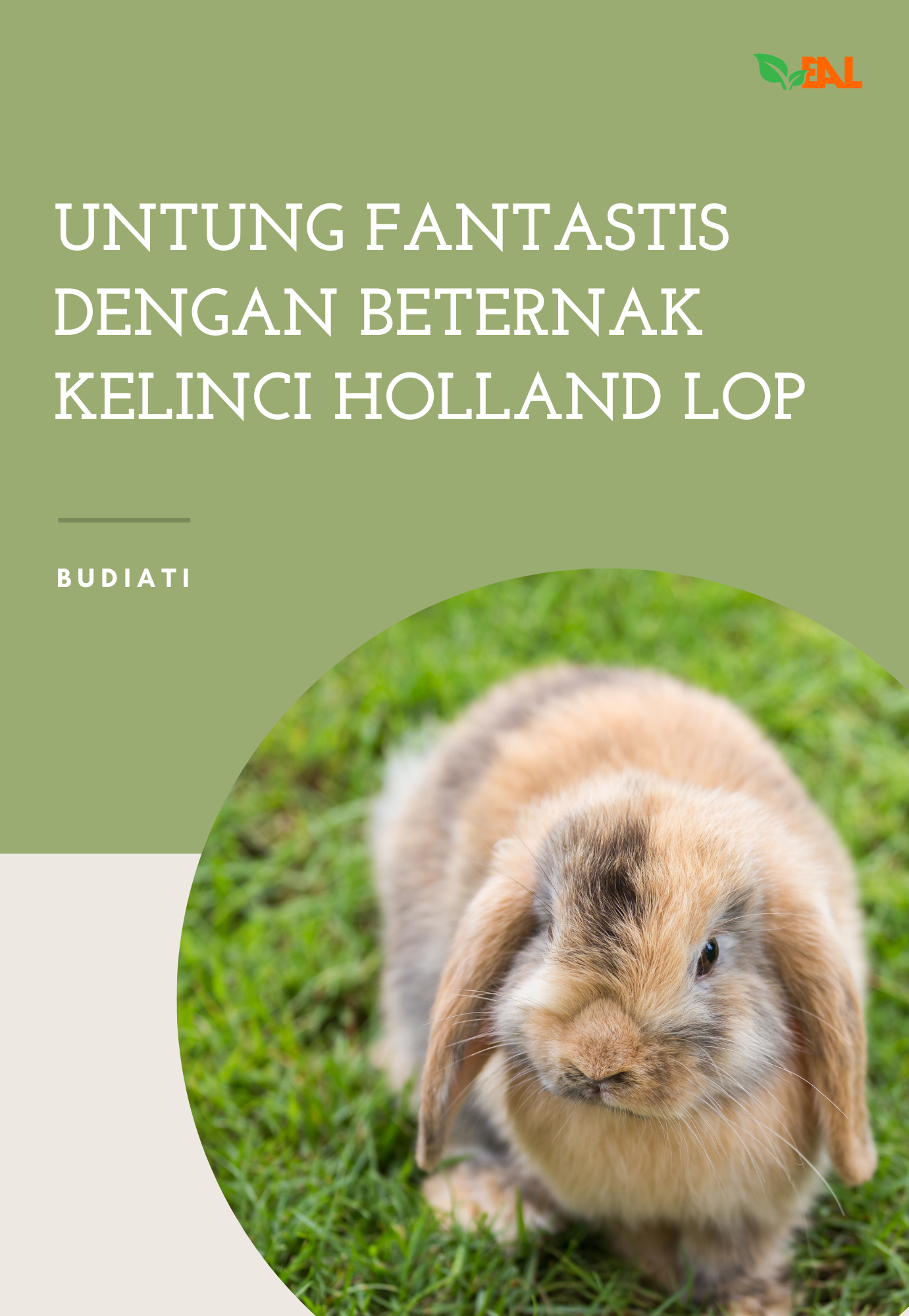 Untung Fantastis dengan Berternak Kelinci Holland Lop