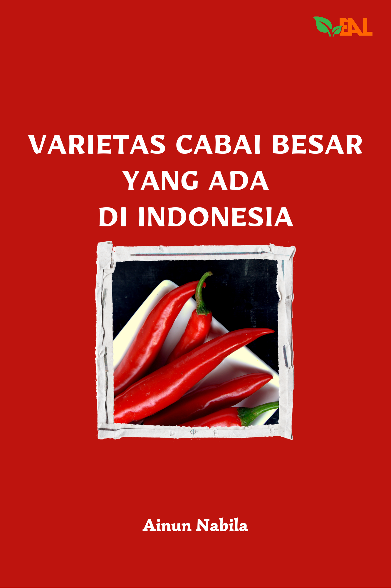 Varietas Cabai Besar yang Ada di Indonesia