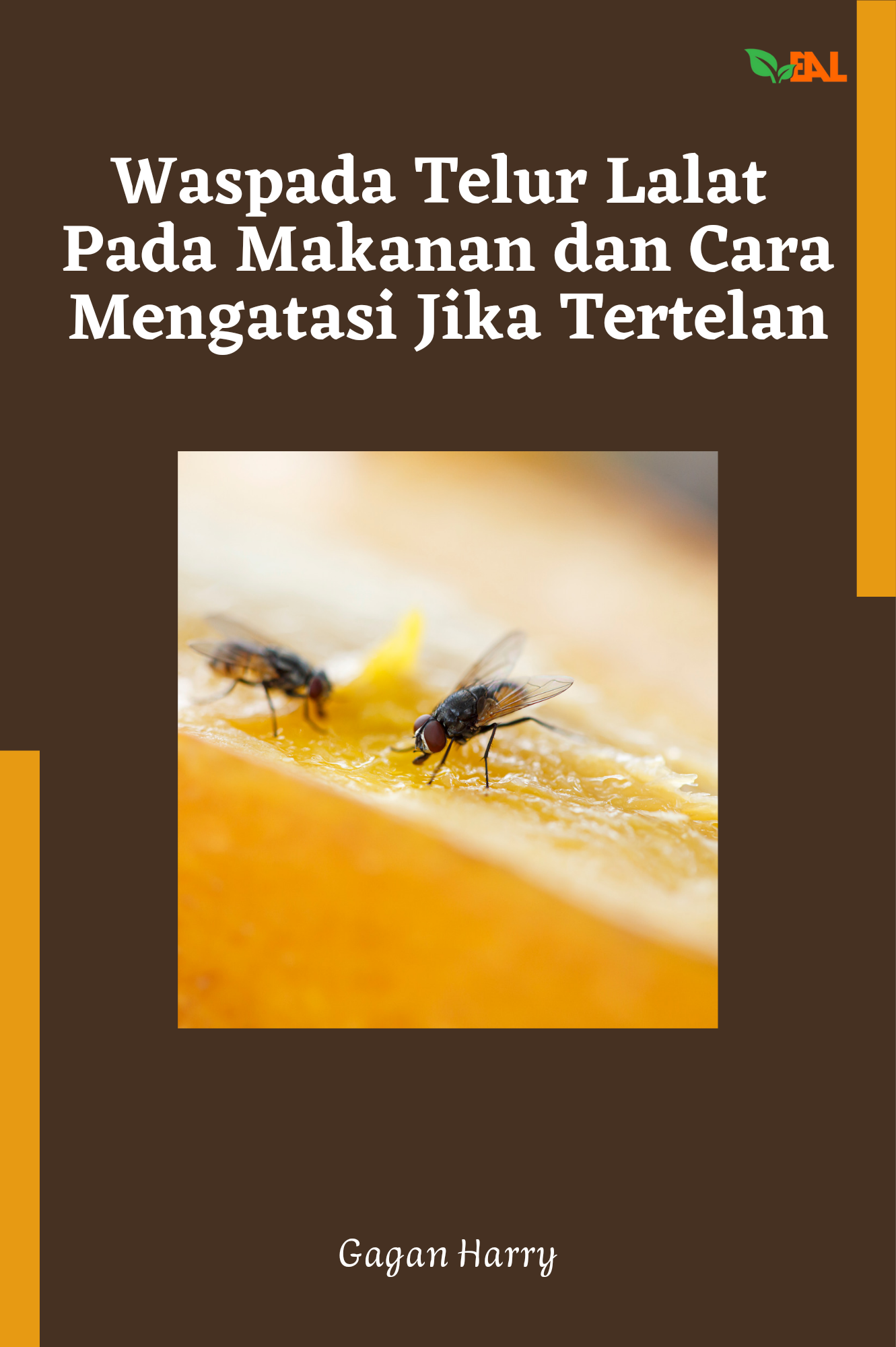 Waspada Telur Lalat pada Makanan dan Cara Mengatasi Jika Tertelan