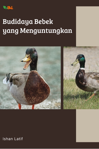 Budidaya Bebek yang Menguntungkan