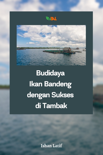 Budidaya Ikan Bandeng dengan Sukses di Tambak