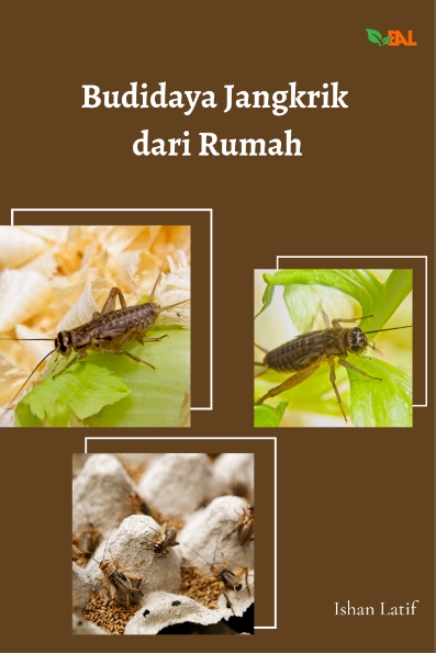 Budidaya Jangkrik dari Rumah